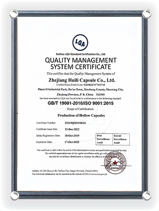 Englische Version der Zertifizierung des Qualitätsmanagementsystems
